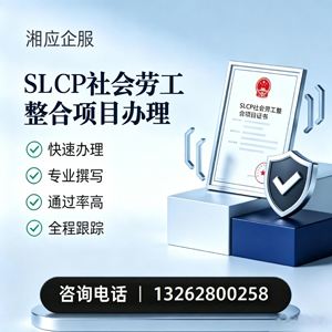 九江SLCP社会劳工整合项目申报服务