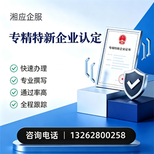 九江专精特新企业申报服务