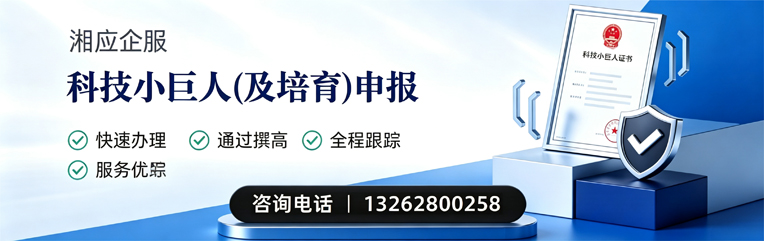 九江科技小巨人及培育企业申报服务