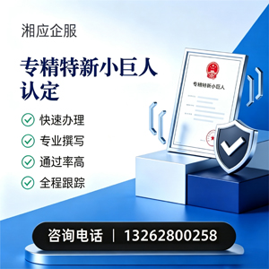 九江专精特新小巨人申报服务