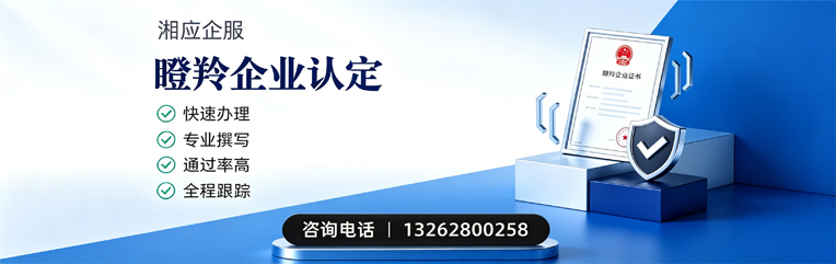 九江瞪羚企业认定申报服务