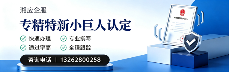 九江专精特新小巨人申报服务
